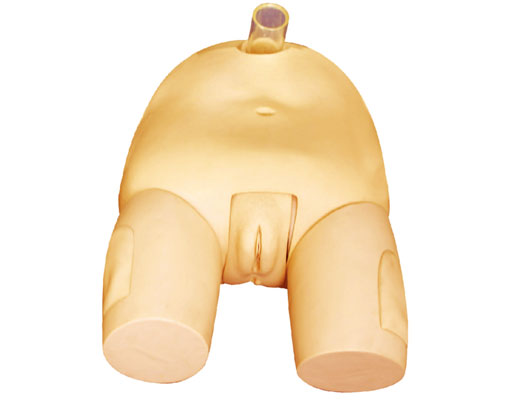 �߼�Ů�԰��כ_��ģ��