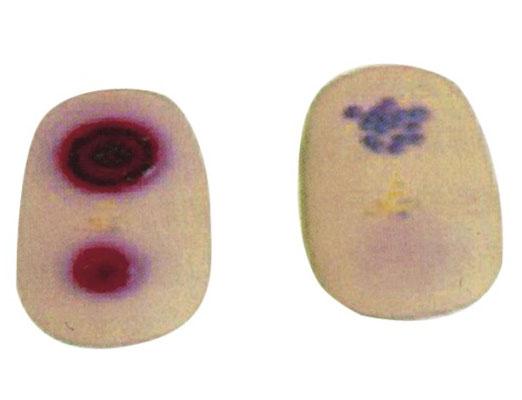 �컨��׃ģ�K