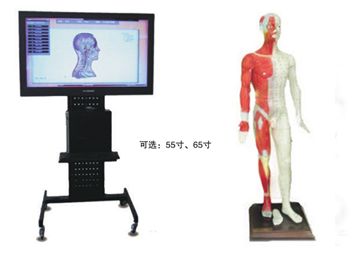 ��ý�w���wᘾ�Ѩλ������(sh��)��ƽ�_