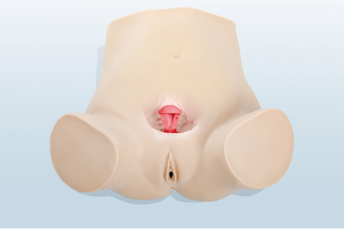 �D���ϭh(hu��n)��ȡ�h(hu��n)Ӗ(x��n)��ģ��