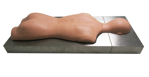 ���t(y��)�ιޡ��������þ���(x��)ģ�ͣ����^��