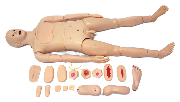 �߼�ȫ�����o(h��)����Ӗ(x��n)��ģ�ͣ����ԣ�