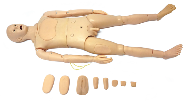 �߼����w��ǻ��̵���o(h��)��ģ����