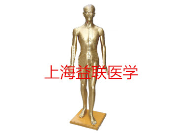 �t(y��)�W(xu��)�̌W(xu��)ģ��